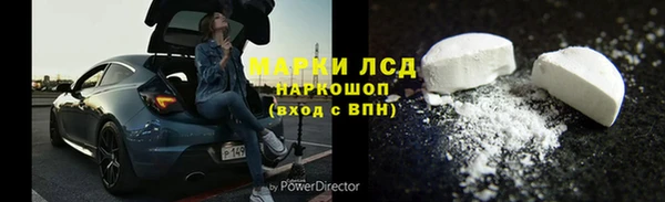 сатива Армянск