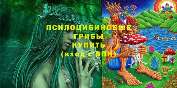 мяу мяу мука Алзамай