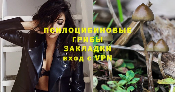 мяу мяу мука Дмитриев